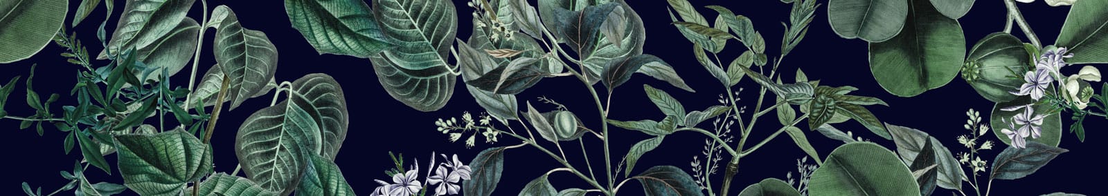 Ein dunkler Blätter und Blumen Garten